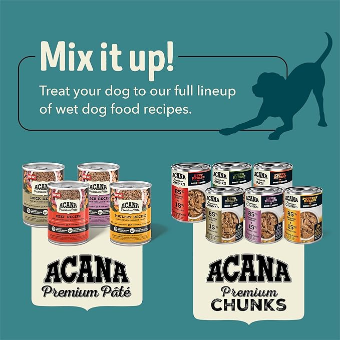 ACANA Premium Pate in Bone Broth Grain-Free Wet Dog Food Beef Recipe 12.8oz Cans (12 Count)