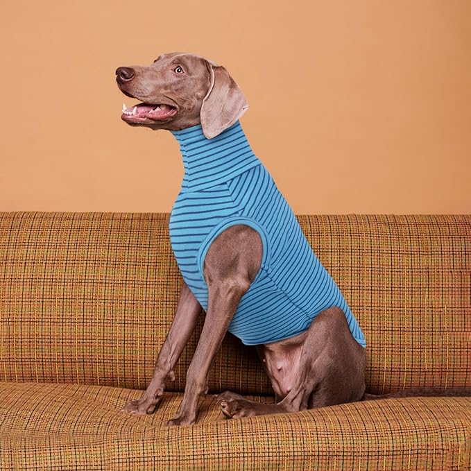 ROZKITCH Fleece Dog Pjs for Medium Dogs Boy, Cozy Stretchy Turtleneck Jumper for Winter Spring Autumn, Machine Washable Pet Clothes for Indoor & Outdoor BlueStripe L