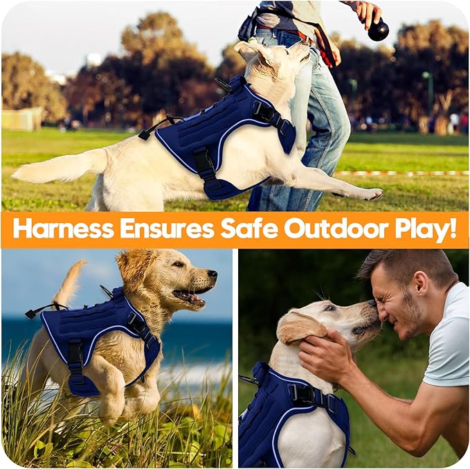Heavy-Duty Tactical Dog Harness for Large Dogs, No Pull Adjustable Reflective Pet Vest with Molle System, K9 Military-Grade Control for Service Training, Outdoor & 10+ Breeds, Dazzling Blue, X-Large