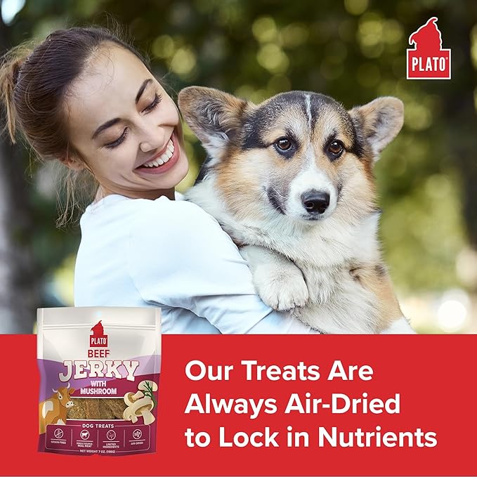 PLATO Pet Treats Jerky Dog Treats - Air-Dried Jerky for Dogs - Delicious, Real Meat Dog Treats - Grain Free - Supports Healthy Digestion - Beef Jerky with Mushroom 7oz