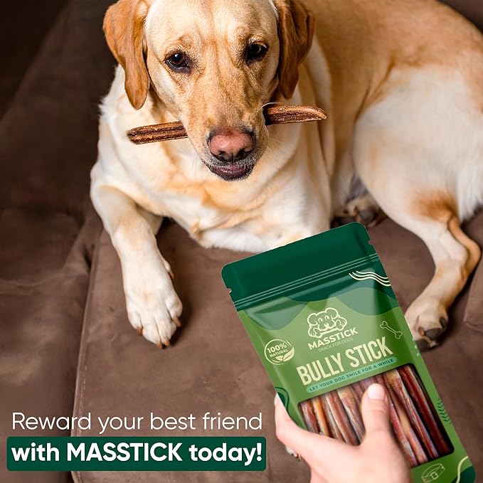 MASSTICK Bully Sticks for Dogs 4 Inch – Extra Thick, Long Lasting, Odor Free Beef Dog Chew Sticks – All Natural, Fully Digestible Treats for Small & Large Dogs – 8oz Bag