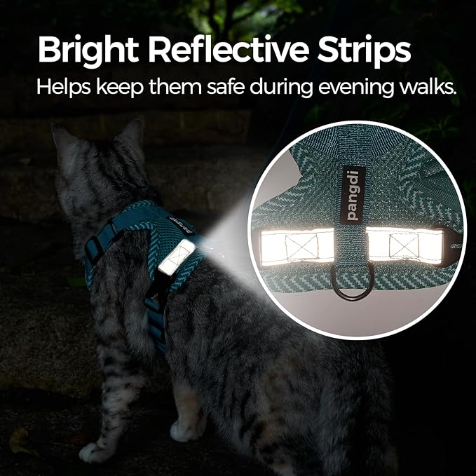 Cat Harness and Leash Escape Proof Extra Large Kitten Harness Maine Coon Cat Vest for Walking Travel, Turquoise, XL