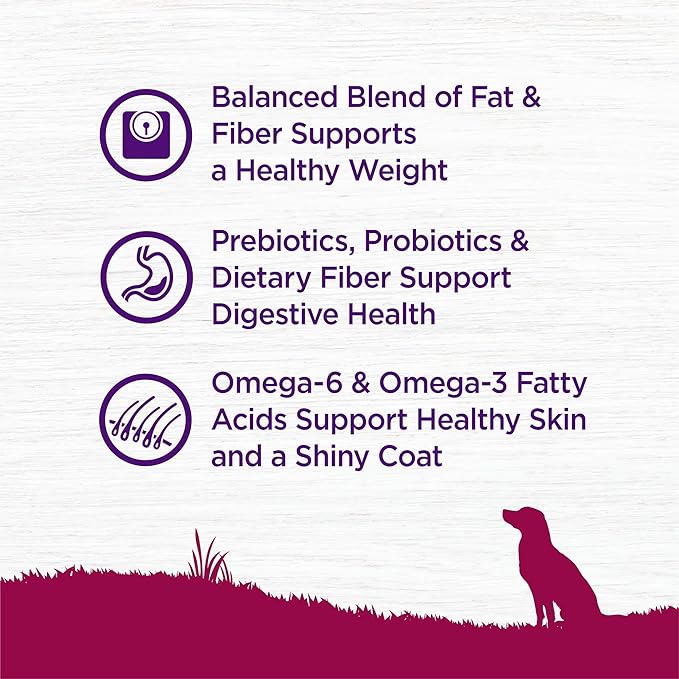 Wellness Complete Health Small Breed Dry Dog Food With Grains, Made In USA with Real Turkey and Natural Ingredients, For Dogs Up To 25 lbs, Healthy Weight, 12 Pound Bag