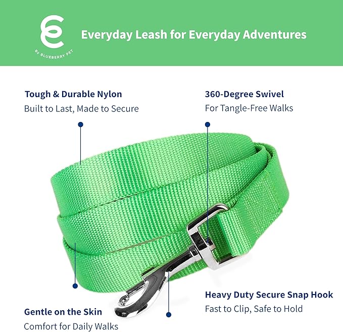 Blueberry Pet Essentials Neon Green Dog Leash for Medium - 5' * 3/4" Dogs | Heavy Duty Nylon Lead | Lightweight Puppy & Cat Leash for Walking & Training
