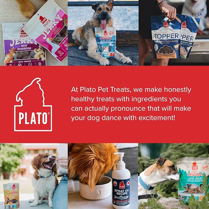 PLATO Pet Treats Jerky Dog Treats - Air-Dried Jerky for Dogs - Delicious, Real Meat Dog Treats - Grain Free - Supports Healthy Digestion - Beef Jerky with Mushroom 7oz