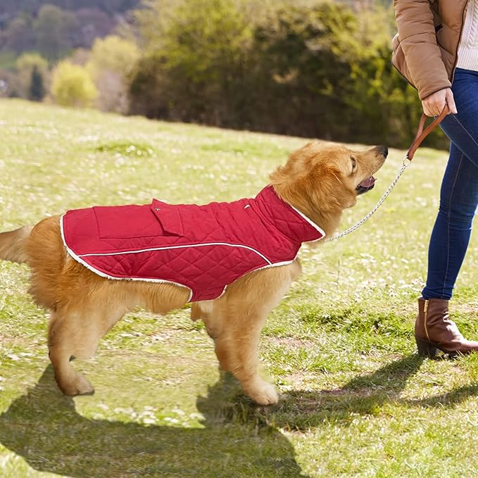 Malier Dog Winter Coat, Windproof Dog Cold Weather Coats with Real Pocket, Winter Extra Warm Pet Coat Fleece Jacket Reflective Clothes for Small Medium Large Dogs and Puppy (Red, XX-Large)