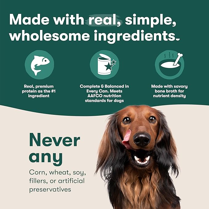 Jinx Bone Broth Stew for Dogs - Salmon & Vegetables Recipe - Grain-Free Wet Dog Food & Topper for Picky Eaters - Promotes Lean Muscle Growth, A Healthy Coat & Improved Digestion - 13 Oz, 12 Pack