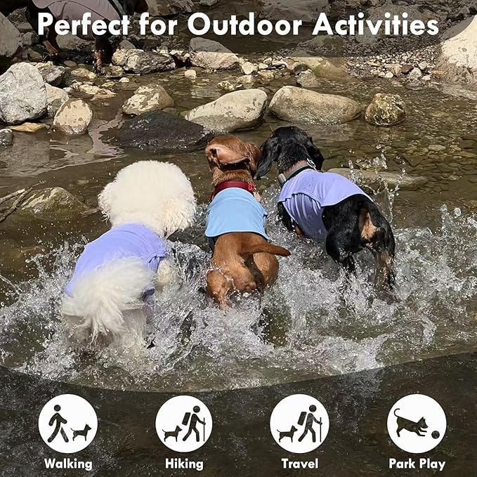 2 Pack Dog T-Shirt, Quick Dry Durable Shirts for Large Dogs, Summer Cooling Sun Protection Clothes, Breathable Prevents Overheating Vest, Blue+Grey, 5XL