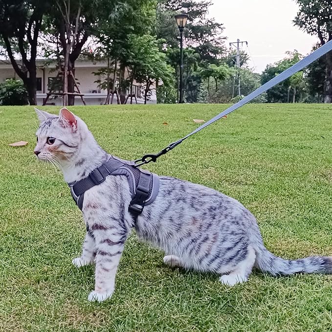 Cat Harness and Leash Set Escape Proof Tactical Extra Large Kitten Harness Emotional Support Cat Vest, Grey, XXL