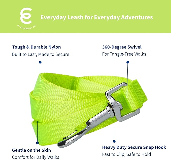 Blueberry Pet Essentials Highlighter Yellow Dog Leash for Small -5' * 5/8" Dogs | Heavy Duty Nylon Lead | Lightweight Puppy & Cat Leash for Walking & Training