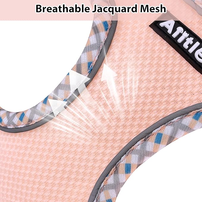 AIITLE Small Dog Harness - Breathable Double-Layer Jacquard No-Choke Vest, Durable Anti-Tear Fabric with Reflective Trim - Perfect for Running, Parties, Daily Walks (Turquoise-Pink, XS)
