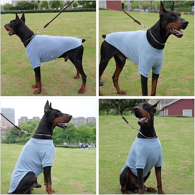 Lovelonglong Ribbed Dog T-Shirt Cotton Knitted Dog Sweaters for All Season Pet T-Shirts for Large Medium Small Dogs Grayish Blue XL