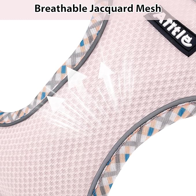 AIITLE Teacup Puppy Harness with Leash - Adjustable Soft Vest with Magic Tape & Reflective Safety Strips, Easy-Put-On for Poodles, Pomeranians - Gym, Hiking, Travel (Blue-Pink, S)