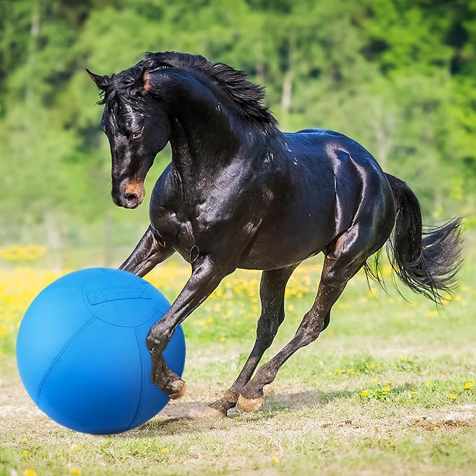 Herding Ball for Dogs - 18" Medium Herding Ball with Anti-Burst Cover and Pump, Outdoor Dog Exercise Toy for Australian Shepherd, German Shepherd, Collie (Blue)