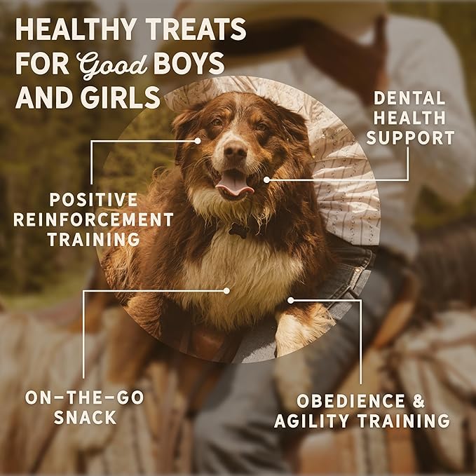 Tally's Ranch Turkey Jerky Dog Treats | High Protein, 80% Turkey, All Natural, 5 Simple Ingredients, No Added Sugar | Healthy Treats for Dogs | Made in The USA, 4 oz Bag