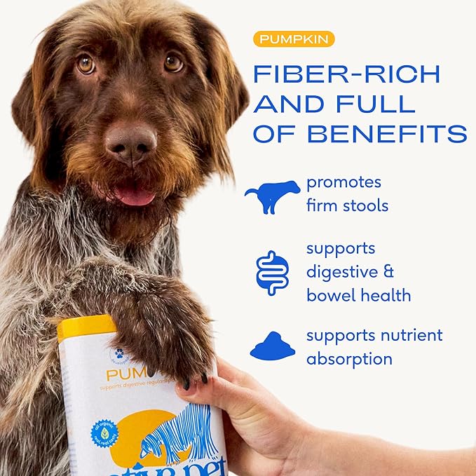 Native Pet Pumpkin for Dogs - Organic Powder Pumpkin Puree Dog Food Toppers-Rich in Fiber Supplement Powder Helps with Digestion, Nutrient Absorption, Diarrhea, Constipation & Upset Stomach-120 Scoops