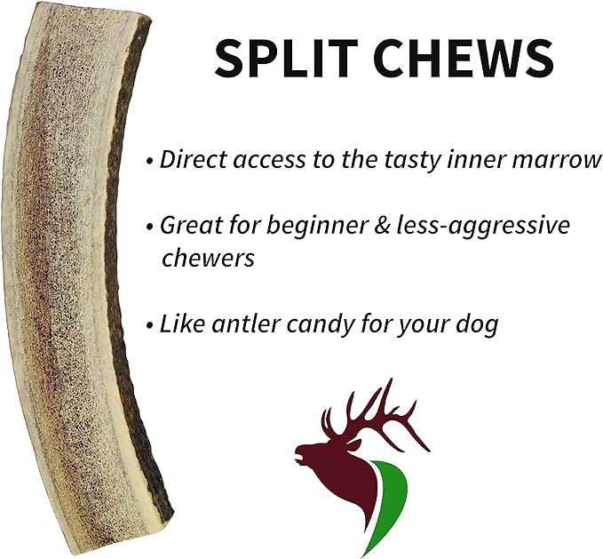Small Split 5 Pack (for 0-20 lb Dogs and Puppies) Premium Grade Elk Antlers for Dogs (5 Pieces) Sourced in The USA