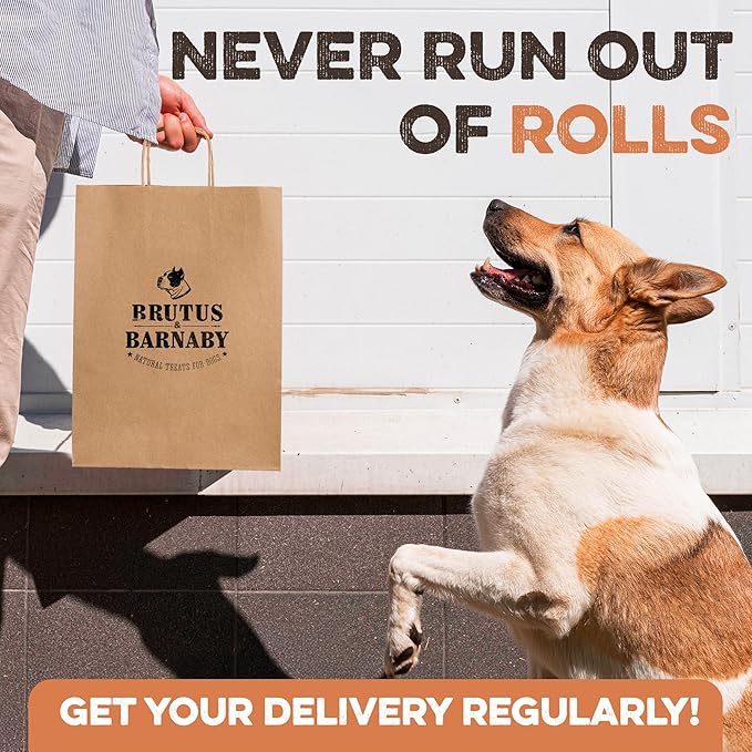 Premium Beef Cheek Rolls for Dogs 10-12" - (10-Pack) Long Lasting, Safe & Natural Rawhide Alternative Chews, Ideal for Large Dogs & Aggressive Chewers, Supports Dental Health & Digestion