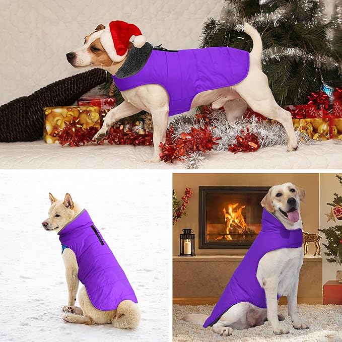 Dog Winter Coat, Waterproof Dog Jacket with Leash Hole, Reflective Adjustable Pet Snow Vest, Warm Fleece Sweater for Small Medium Large Dogs - Purple, M