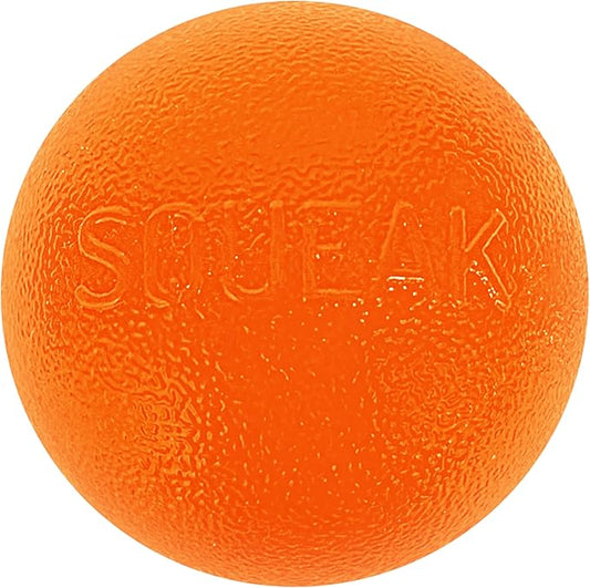 Outward Hound by Planet Dog Squeak Ball Bouncy Fetch Dog Toy, Orange