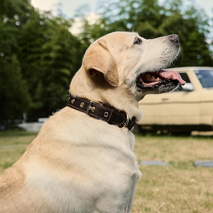 Leather Dog Collar,Dog Collar with Adjustable Sturdy Metal Buckle,Heavy Duty Dog Collar for Walking, Hiking, Training, Hunting (Black,XS:13.4"-15.8" Neck)