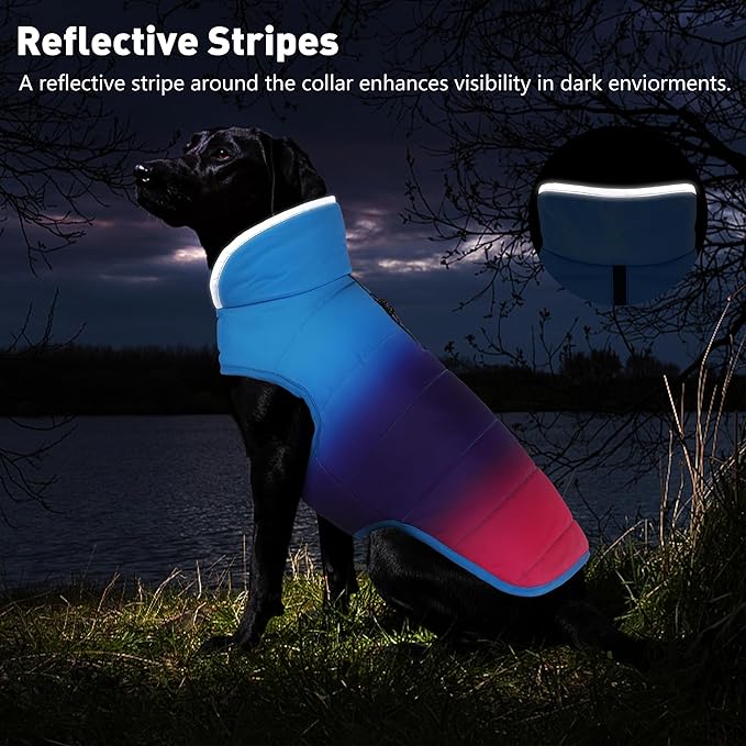 Dog Winter Coat, Waterproof Dog Jacket with Leash Hole, Reflective Adjustable Pet Snow Vest, Warm Fleece Sweater for Small Medium Large Dogs - Gradient Blue, L
