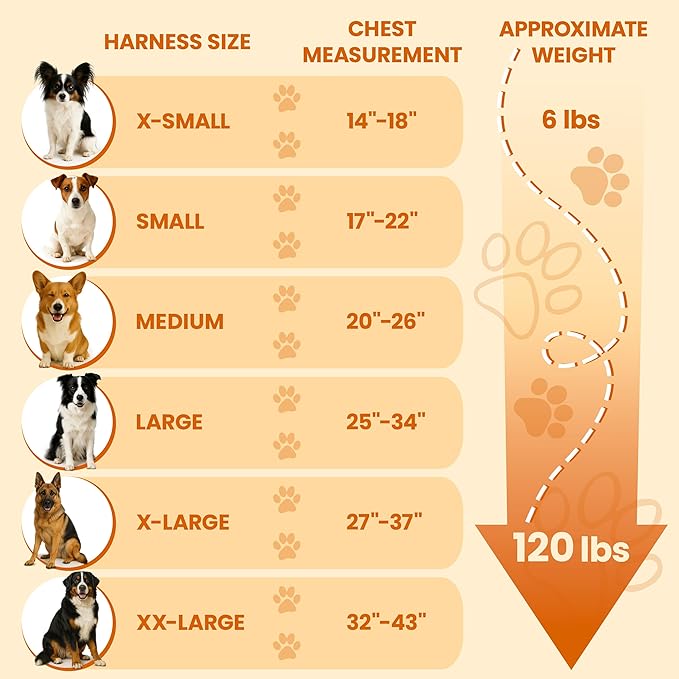 Bark Appeal Blue No-Pull Dog Harness for Large to Extra Large Sized Pets – Adjustable, Reflective Vest with 3 Leash Clips for Added Control, Easy Walks & Training – XL