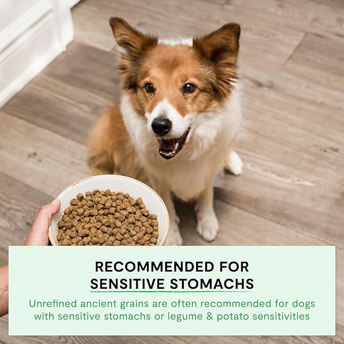 Open Farm, Ancient Grains Dry Dog Food, Protein-Rich & Nutrient Dense, 90% Animal Protein Mixed with Non-GMO Fruits, Veggies and Superfoods, New Zealand Venison Recipe, 4lb Bag