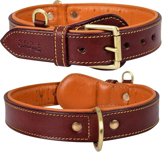 Genuine Leather Dog Collar – Full Grain, Breathable Inner Padding, Padded Buckle – Heavy Duty, Adjustable for Small, Medium, Large & XL Breeds (Dark Brown, M (Fit Neck Size 14.5"-18.5"))