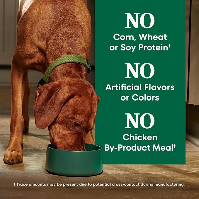 Nutro Natural Choice Chicken & Brown Rice Adult Large Breed Dog Food Dry Recipe, 36 lb. Bag