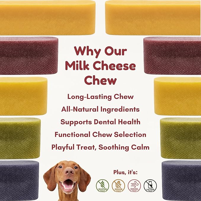 Majestic Pet Himalayan All-Natural Yak Cheese Dog Chews Made with 100% Cows Milk- Long Lasting Dental Chew for Dogs - Healthy Pet Treats (Cognitive Support & Vitality, Large, 1 Pack)