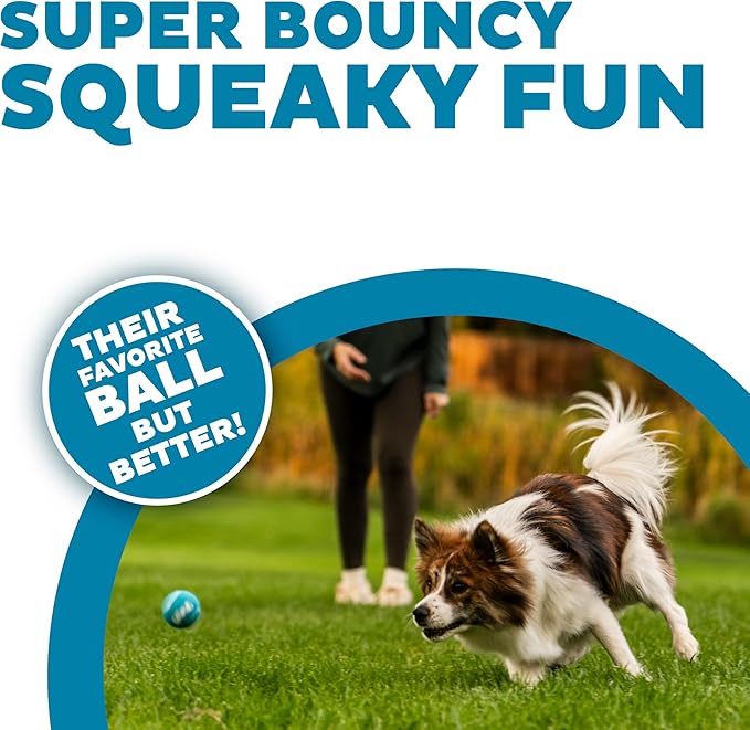 Outward Hound Squeaker Ballz 8-Pack Tennis Ball Dog Toys with Squeaker, Interactive Fetch Play for Pets Under 25 lbs, Training Balls for Indoor & Outdoor Exercise, Small, 2-inch