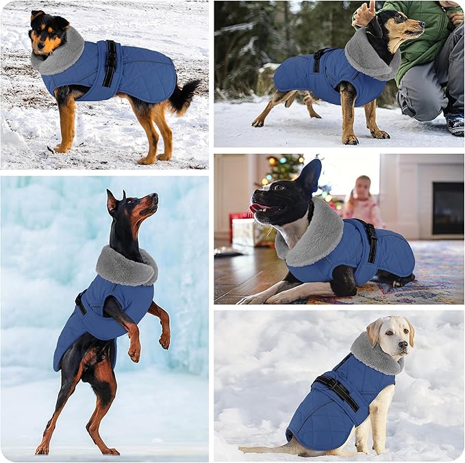Dog Coat, Waterproof Dog Winter Jacket with Adjustable Buckle, Reflective Turtleneck Pet Snow Vest Warm Fleece Sweater for Small Medium Large Dogs - Blue, M