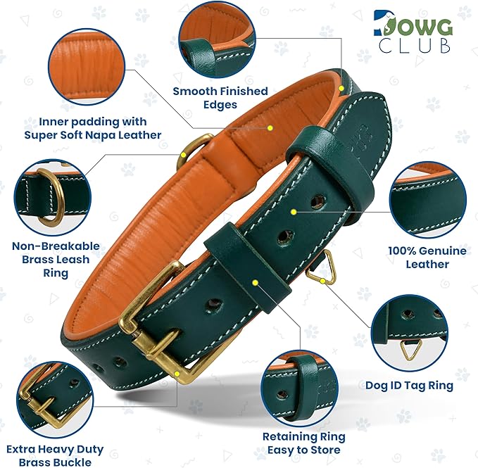 Genuine Leather Dog Collar | Full Grain, Heavy Duty, Comfortable, Padded, Strong | Best for Pups, Small, Medium, Large & XL Breeds (X-Large (Fit Neck Size 22"-26"), Teal Green)