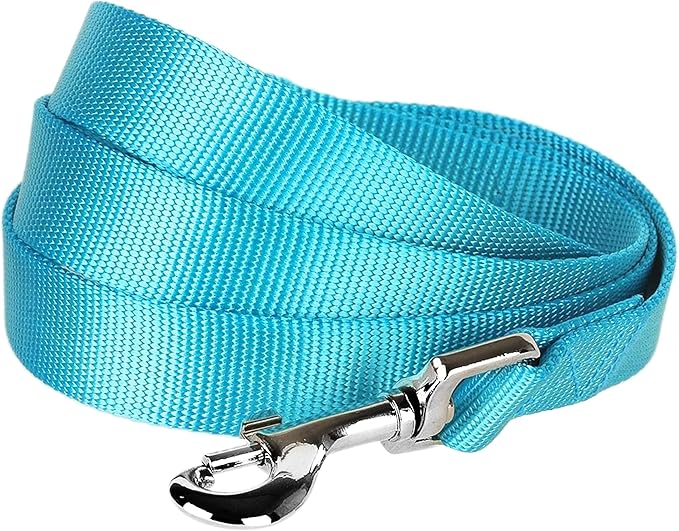 Blueberry Pet Essentials Turquoise Dog Leash for Small -5' * 5/8" Dogs | Heavy Duty Nylon Lead | Lightweight Puppy & Cat Leash for Walking & Training