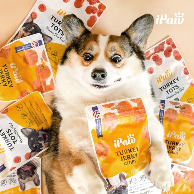 iPaw Chicken Tots Dog Treats for Puppy Training, All Natural Human Grade Dog Treat, Hypoallergenic, Easy to Digest (Chicken Tots)