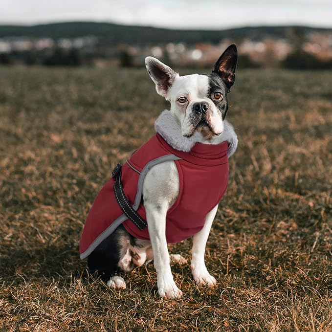 Lelepet Warm Dog Winter Coat Reflective Dog Jacket Fleece Vest Waterproof Windproof Cold Weather Coats with Adjustable Buckle Plush Turtleneck Pet Snowsuit for Small Medium Large Dogs,Bichon,M