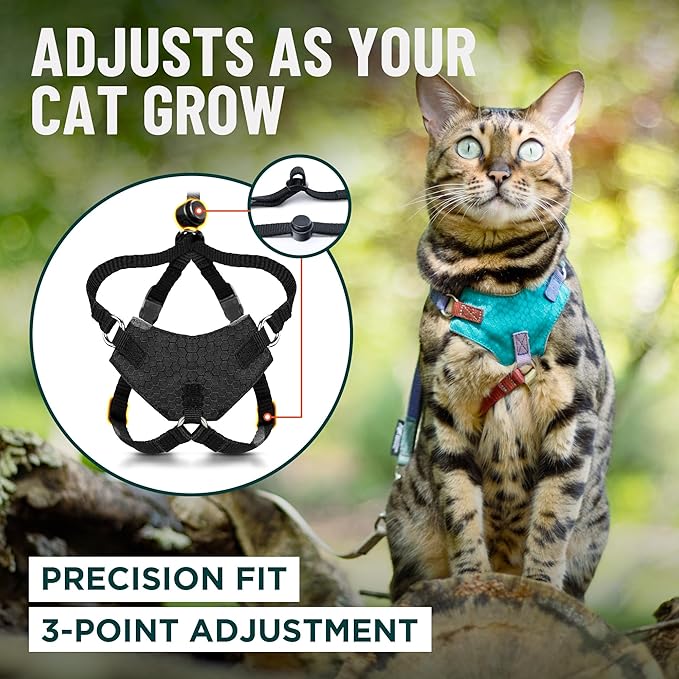 Houdini™ Escape Proof Cat Harness and Leash Set by OutdoorBengal – Turquoise, Medium Cat Harness for Walking