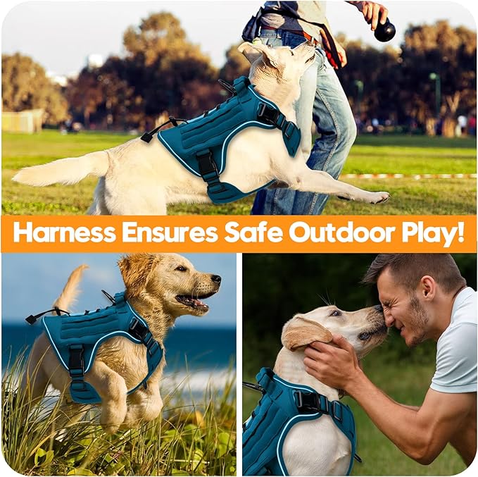Heavy-Duty Tactical Dog Harness for Large Dogs, No Pull Adjustable Reflective Pet Vest with Molle System, K9 Military-Grade Control for Service Training, Outdoor & 10+ Breeds, Blue, Large