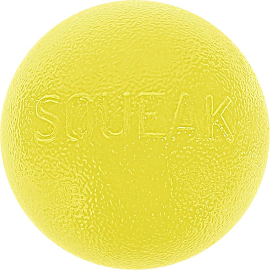 Outward Hound by Planet Dog Squeak Ball Bouncy Fetch Dog Toy, Yellow