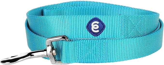 Blueberry Pet Essentials Turquoise Dog Leash for Medium - 5' * 3/4" Dogs | Heavy Duty Nylon Lead | Lightweight Puppy & Cat Leash for Walking & Training