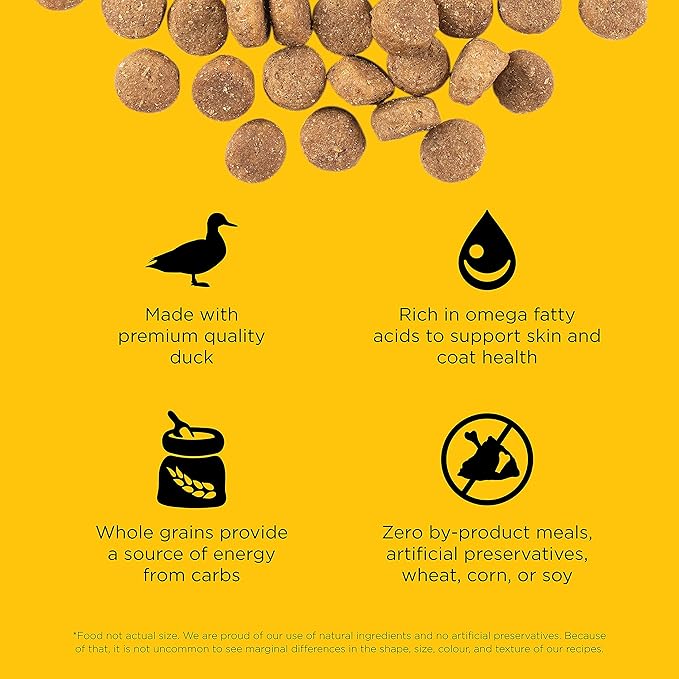Go! Solutions Skin + Coat Care, Dry Dog Food, Duck Recipe with Grains, 12 lb Bag