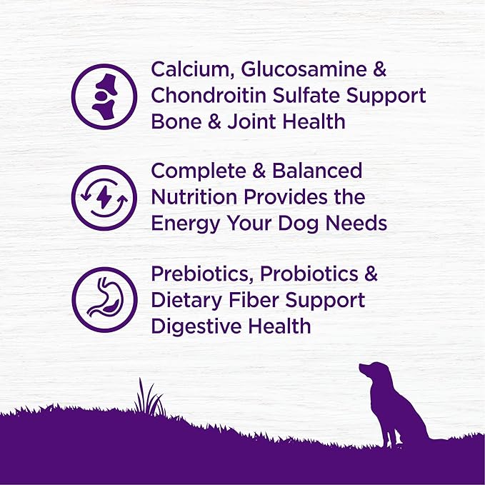 Wellness Complete Health Senior Dry Dog Food with Grains, Chicken & Barley, 15-Pound Bag