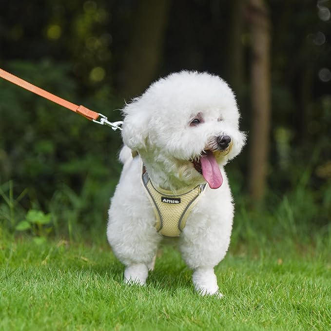 AIITLE Escape Proof Dog Harness - Step in Adjustable Dog Harness No Choke Over with Breathable Mesh and Quick-Release Buckle for Summer- Outdoor Walking, Camping, Training for Medium Dogs Beige XL