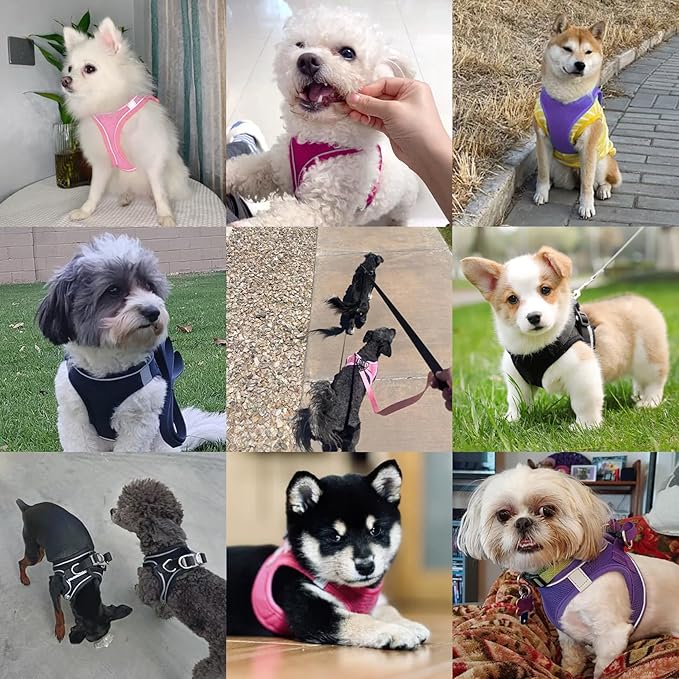 Dog Harness with Leash Set, No-Pull Step-in Reflective Pet Harness with 1 Leash Clips, Adjustable Soft Padded Easy Walk Dog Vest for Small Medium Large Dogs, Cats(Dark Blue, XLarge)