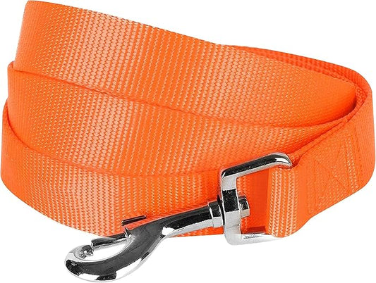 Blueberry Pet Essentials Florence Orange Dog Leash for Small -5' * 5/8" Dogs | Heavy Duty Nylon Lead | Lightweight Puppy & Cat Leash for Walking & Training