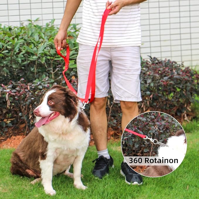 AMAGOOD 6 FT Puppy/ Dog Leash, Strong and Durable Traditional Style Leash with Easy to Use Collar Hook, Great for Small, Medium and Large Dogs (1 in x 6 ft, Red)