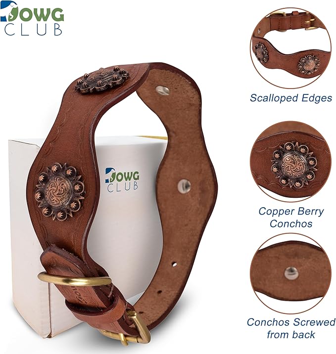 Leather Collar with Scalloped Edges for Medium Dogs | Genuine, Hand Tooled, Hand Carved, Full Grain, Heavy Duty, Comfortable (Medium (Fit Neck Size 14.5"-18.5"), Brown-Scalloped Edges)