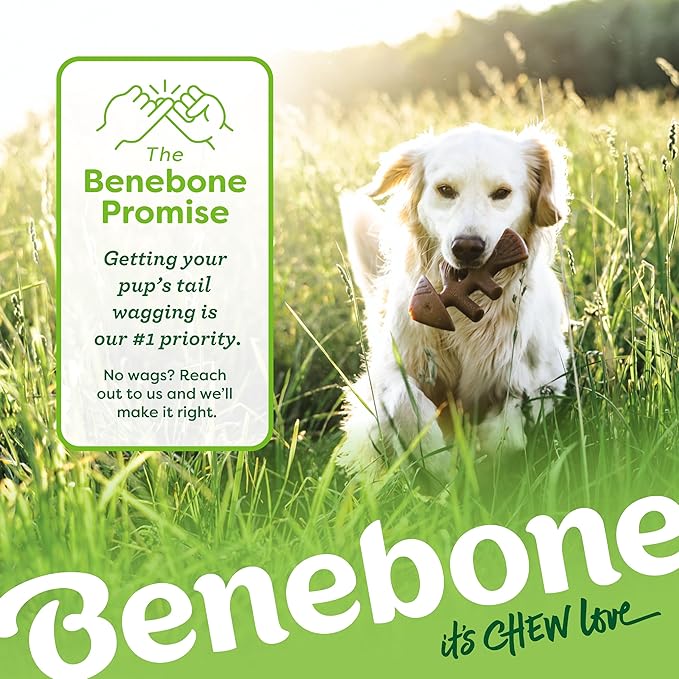 Benebone Medium 4-Pack Dog Chew Toys for Aggressive Chewers, Made in USA, 60lbs and Under