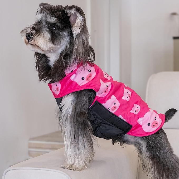 CuteBone Winter Dog Jacket, Reversible Dog Vest - Windproof & Waterproof, Thick Adjustable, Small to Large Sizes, Soft Winter Coat with Leash Hole